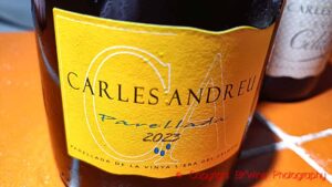 Carles Andreu Parellada, Vinya l'Era del Celdoni