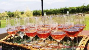 Glasses with rosé wine in a vineyard in South Africa