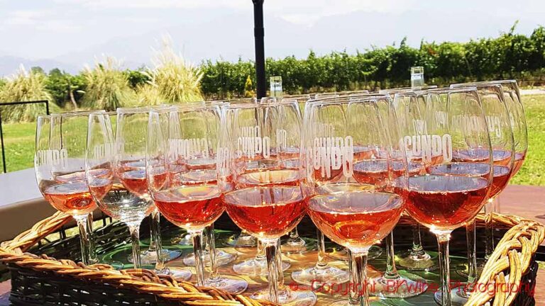 Glasses with rosé wine in a vineyard in South Africa