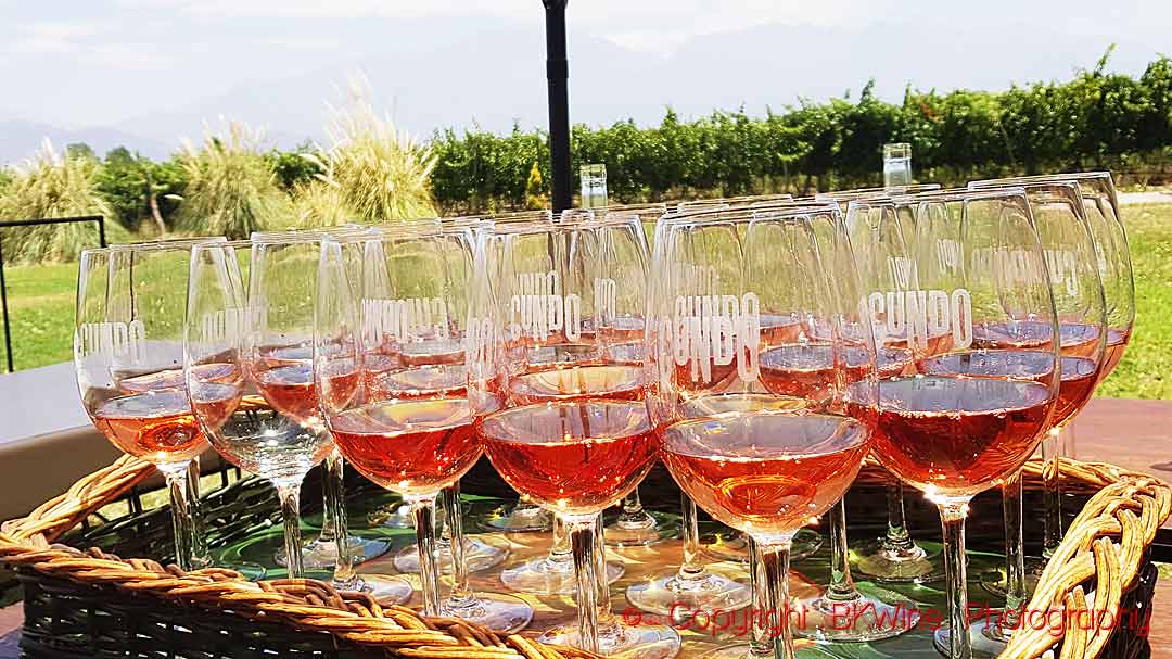 Glasses with rosé wine in a vineyard in South Africa