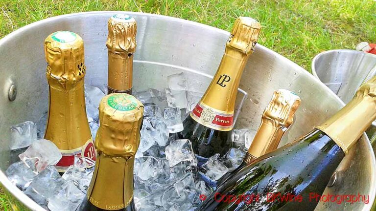 Champagne bottles in an ice bucket with foil on the neck, "coiffe"