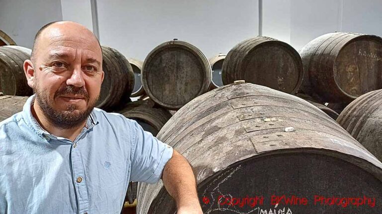 Ramiro Ibáñes of the Cota 45 winery in his cellar in Sanlucar de Barrameda with old oak vats
