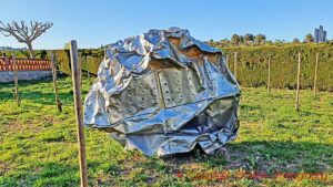 The tank that was crushed by the flood at Celler Rendé Masdéu, Conca de Barbera, Catalonia