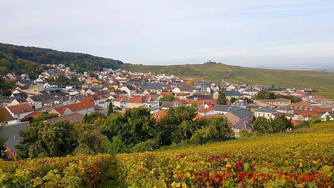 Vineyards close to the lighthouse and houses in Verzenay, some now being replanted with voltis