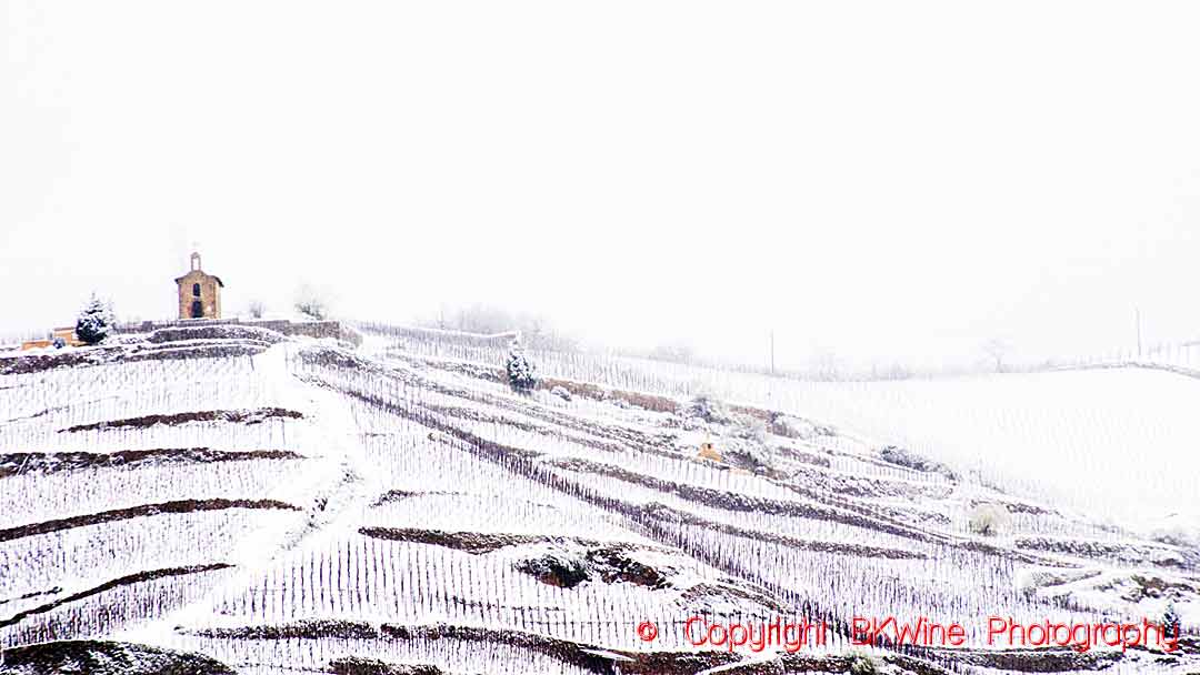 Snow in the vineyards in Hermitage, Rhone Valley