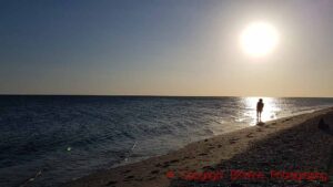 A lone person standing in the sun reflections along the sea on the beach