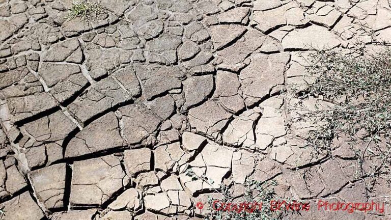 Dry, cracked earth
