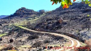 A landscape ravaged by wildfires in South Africa