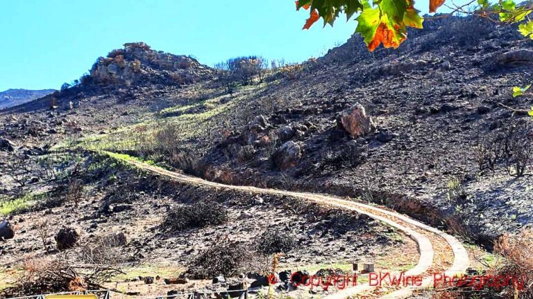 A landscape ravaged by wildfires in South Africa