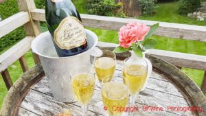 Champagne in an ice bucket and glasses poured in the garden