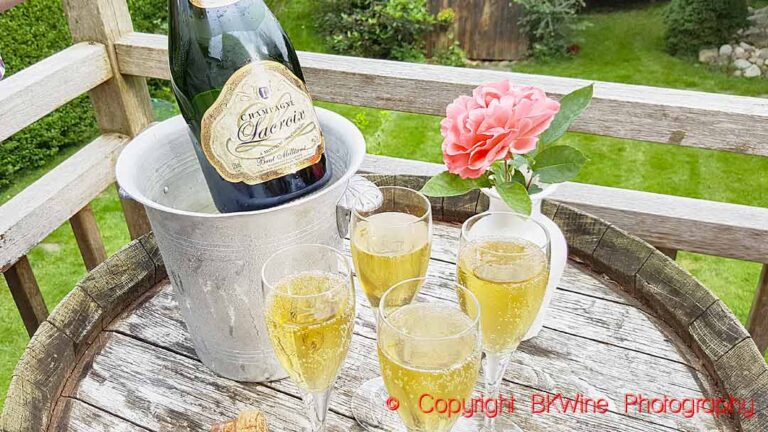 Champagne in an ice bucket and glasses poured in the garden