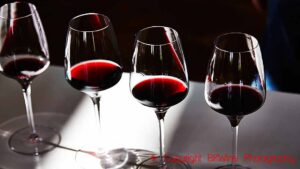 Four glasses of red wine, tasting wine in the tasting room